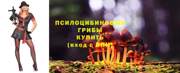 гашик Няндома