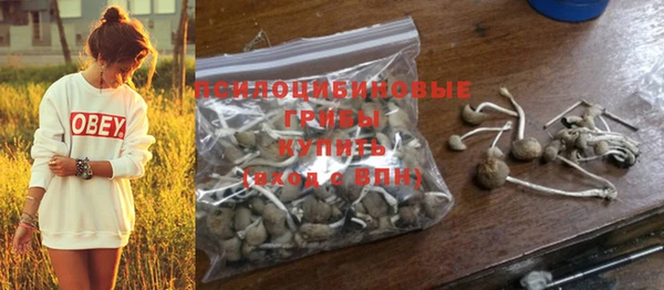 каннабис Новодвинск