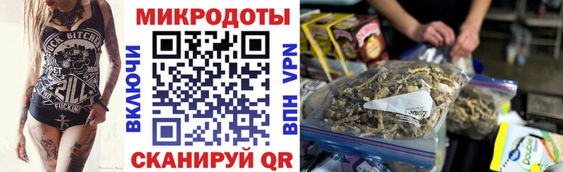 блэк спрут зеркало  сколько стоит  Катайск  Псилоцибиновые грибы мицелий 